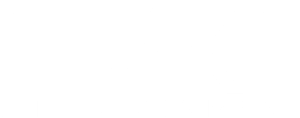 Blake Logo